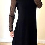 NWT Tash + Sophie Black Sheath Stretch Dress Swiss Dot Mesh Long Sleeves Sz LRG Photo 0