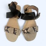 Banana Republic  snake print leather Photo 4