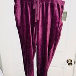 Vince Camuto  Cotten Blend Corduroy Joggers Rich Purple Plus Size 3X Photo 2