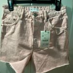 ZARA Pink Denim Shorts Photo 0