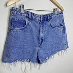 ZARA Women's High Rise Cut Off Denim Shorts Light Blue Frayed Hem Pockets Sz 12 Photo 8