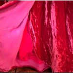 NWT BELTAINE Red Velvet Garnet Tulip Long Sleeve Mini Dress Photo 5