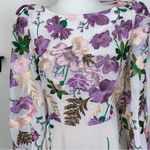 Elliatt  Reverie Embroidered Mini Dress in Multi Photo 2