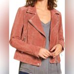 BLANK NYC  suede moto jacket Photo 2