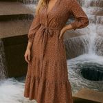 Sheridan French Bird Dress Cheetah XS Boho Coastal Cowgirl Quiet Luxury Core Photo 0