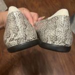 Cole Haan ๐ Grand Ambition Skimmer Viper Snakeskin Flats Photo 5