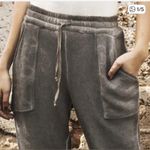 House of Harlow 1960 x Nicole Richie Gray Velour Jogger Pants Size M Photo 1