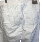 American Eagle  Outfitters‎ Womens Tomgirl Button-Fly Straight-Leg Jeans Size 6 Photo 4