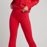 Negative Underwear Club Flare Pant in Cherry, Size Small Photo 0