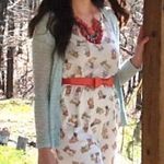 Francesca’s Birdcage Mesh Sweater Cardigan Mint Green S Green Photo 5