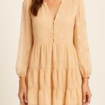 A loves A Metallic Dot Sheer Babydoll Dress NWT Size Small Photo 0