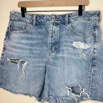 American Eagle  Tomgirl Distressed Shorts Button Fly Size 14 Short Photo 2