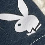 PacSun playboy mini skirt Photo 2