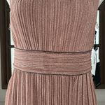 Adrianna Papell  Metallic Pleated Long Gown in Rose, Size 8 NEW w/Tag $229 Photo 10