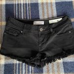 Bullhead Black Shorts Photo 0