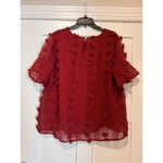 Entro Modest High Neck Lined Sheer Sleeve Blouse Top Dotted Swiss Boho Size Xl Photo 4