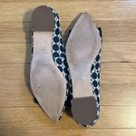 Ann Taylor  flats in size 9 1/2 Photo 4