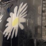 Daisy Floral Rain Boots Size 8 Blue & Yellow Photo 5