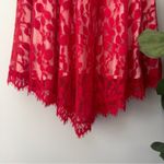 Free People Floral Lace Mesh Dress in Hot Red Attached Adjustable Slip Scalloped Photo 6