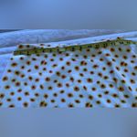 We Wore What  ditsy daisies mini skirt  Womens Mini SLIP Skirt ZR5 IVORY MULTI M Photo 11