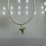 White Shark Tooth Pendant Necklace Photo 3