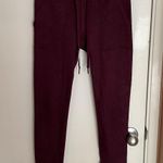 Aerie Soft Lounge Joggers (M) Photo 0