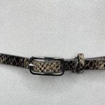 Old Navy Grey Snakeskin Slim Rectangle Buckle Belt Size M/L Photo 0