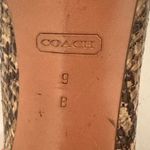 Coach  Chelsey Natural Snake-Embossed Leather Round Toe Pumps High Heels Size 9 Photo 7