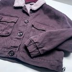 Stoosh  Chocolate Teddy Jacket with Ivory Collar Photo 6