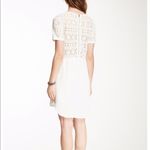 ASTR  the Label Lace Illusion Silk Blend Shift Dress Ivory‎ Womens Sz M Cu… Photo 8