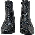 Madden Girl “Dafni” Women’s Size 8M Black Snake Print Ankle Boots Booties Photo 1