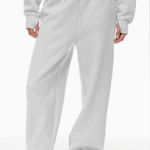 TNA Aritzia Sweatfleece Mega Fit gray sweatpants Size M Photo 0
