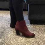 Charlotte Russe Maroon Booties Photo 0