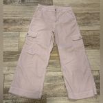 American Eagle  Pale Pink Corduroy Pants Photo 0