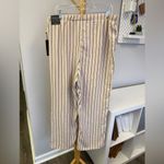 Rachel Zoe NWT  Beige and Black Striped Pull On Straight Leg Pants Sz 2x Photo 2