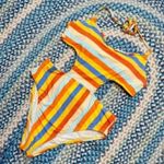 The Bikini Lab  Swimsuit Photo 2