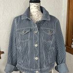 Canyon River Blues  | Striped Denim Jacket Photo 4