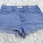 PacSun Mid rise Button Fly Distressed Raw Hem Denim Shorts Light wash 30 Photo 0