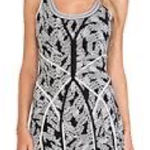 Diane Von Furstenberg  Ilsa Tank Dress in Panther Lace Black Photo 0