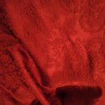 Forever 21 Red Brocade Dress Photo 5