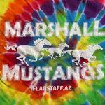 Gildan TIE DYE MUSTANGS HORSE TEE SHIRT Photo 1