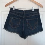 Hollister  Vintage High Rise Shorts Photo 1