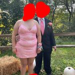 Hoco & Other Stories Dress Pink Size L Photo 2