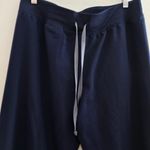 FIGS  livingston Blue pants Size XL Petite Photo 4