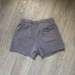 Grey Young LA Shorts Gray Photo 3