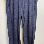 Aerie  Navy Blue Track Pants Photo 0