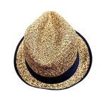 Metier Hormuz Travel Panama Hat in Blue, Size L​​​ Brown Photo 1