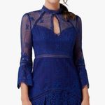 Ever New Yasmin Lace Flippy Hem Dress sz 10 cobalt blue Photo 0