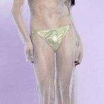 Netted Cover Photo 1