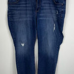 Lane Bryant GeniusFit Straight Leg Jeans (Petite) size 26 Photo 0